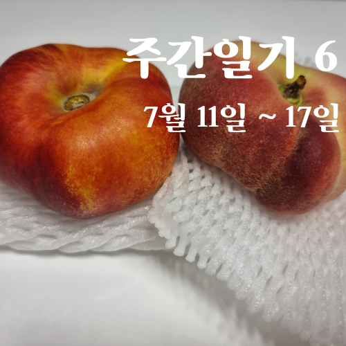 주간일기6 :: 7월 (2)