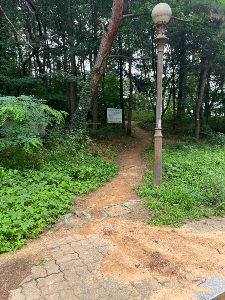  [용인수원등산코스추천]매미산