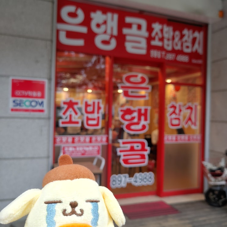 영통에서 헤어질결심 과몰입 데이트하기 1편-초밥집 은행골 영통에서 헤어질결심 과몰입 데이트하기 1편-초밥집 은행골