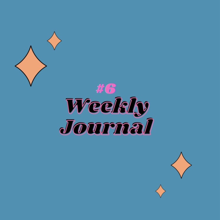  주간일기 #6