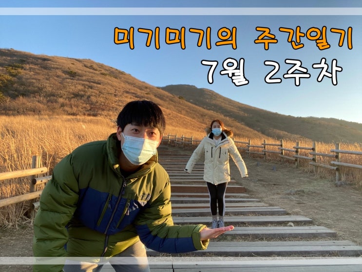  7월2주차 주간일기 맛집탐방 감사의일기 임장