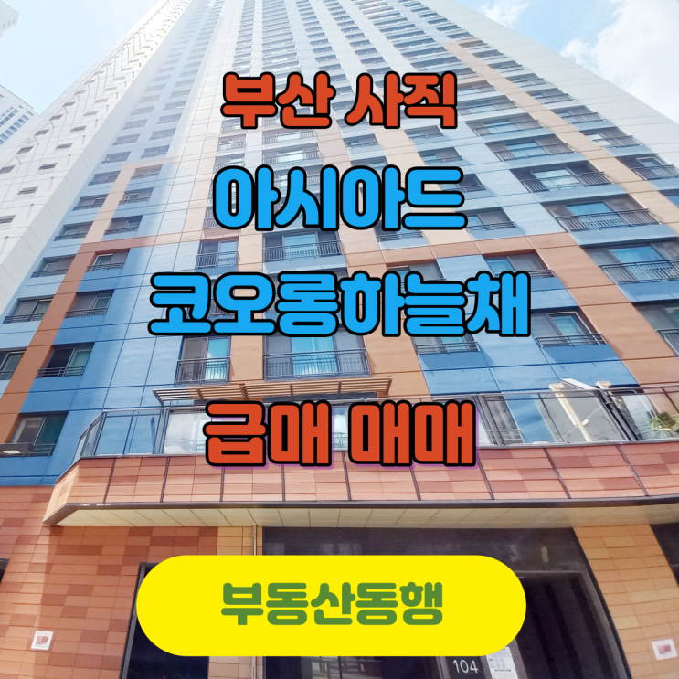  [부산 아파트]사직동 아시아드 코오롱하늘채 아파트