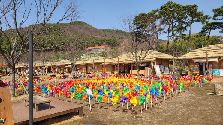  예산 내포보부상촌 할인 받아서 다녀왔어요!