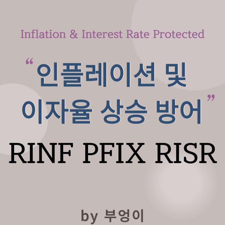 인플레이션 및 이자율 상승 방어 미국 ETF - RINF, PFIX, RISR (물가상승, 기준금리 상승 관련, 국채 및 MBS 보유, 채권 상품)