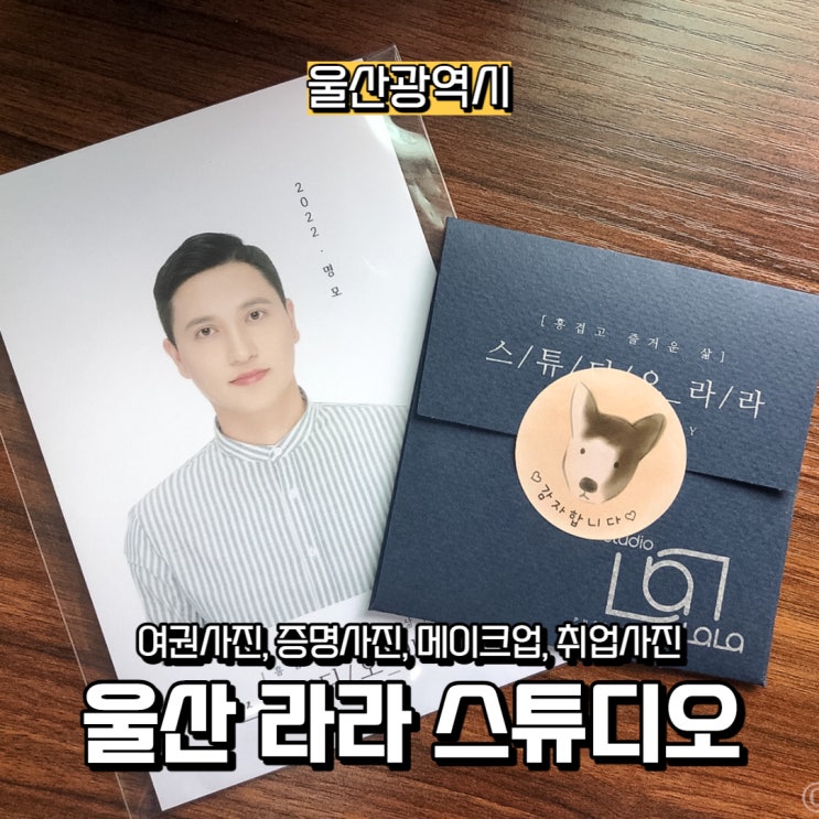  울산여권사진, 울산증명사진, 울산반려동물사진은 보정맛집 울산 라라 스튜디오에서!
