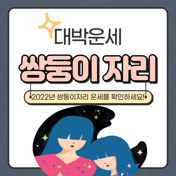  2022년 쌍둥이자리 운세 핵심정리