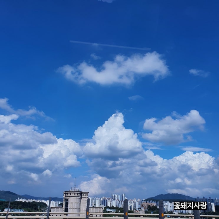  7/11-17 주간 일기