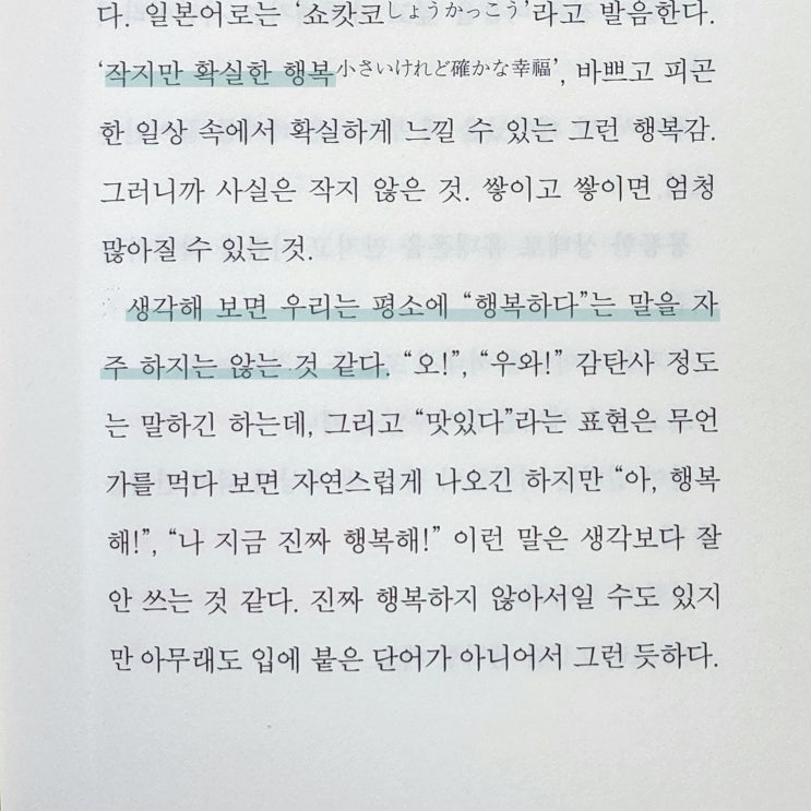  6월 무난일상