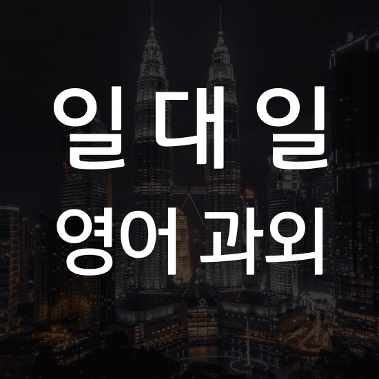  포천 오픽과외 토익과외 토플 아이엘츠 일대일 제대로 영어 시험 준비하기