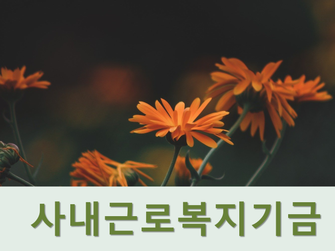 사내근로복지기금 설립 인가 및 세제혜택 총정리