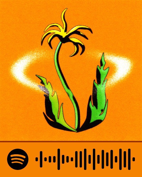  The Volunteers - New plant(가사/해석/뮤비)