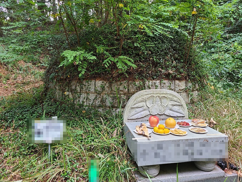 경남 합천군 가회면 - 분묘 보상, 분묘 개장 절차에 대해서(유연분묘)