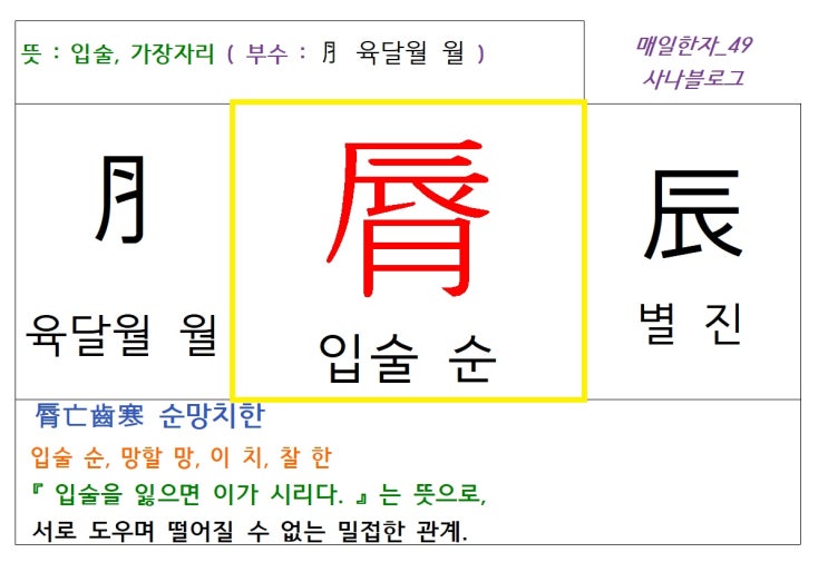  매일한자 공부하기(49) 입술 순