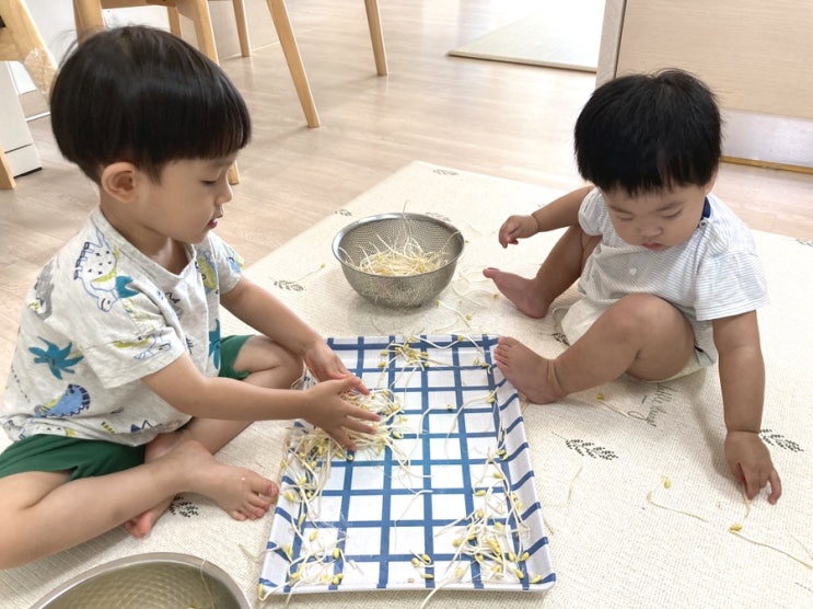  4살 2살) 식재료 오감놀이/소근육놀이