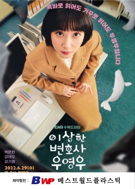 BWP TV 드라마 방송 제작협찬한 작품들