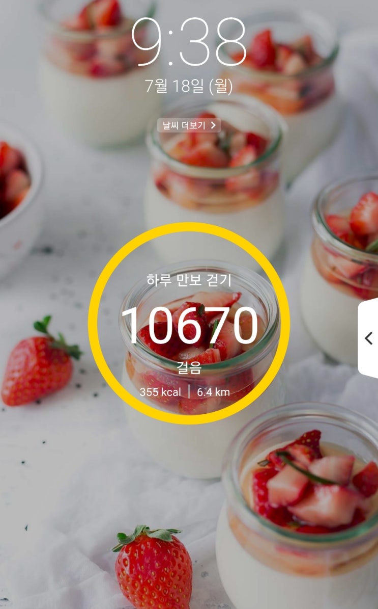  [네이버주간일기챌린지] 캐시워크 하루만보걷기/ 여름등산하기 1시간소요