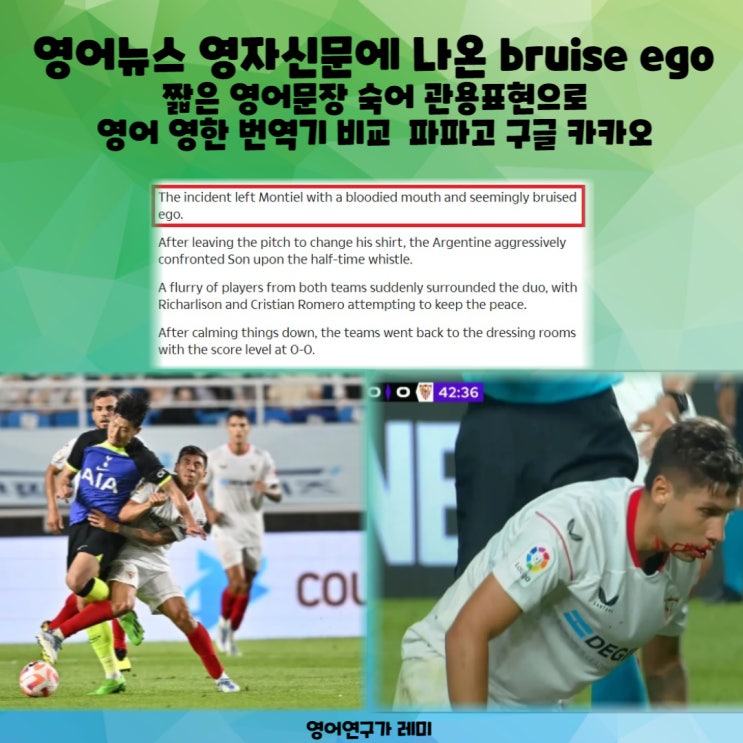 영어뉴스 영자신문에 나온 bruise ego 짧은 영어문장 숙어 관용표현으로 영어 영한 번역기 비교 파파고 구글 카카오