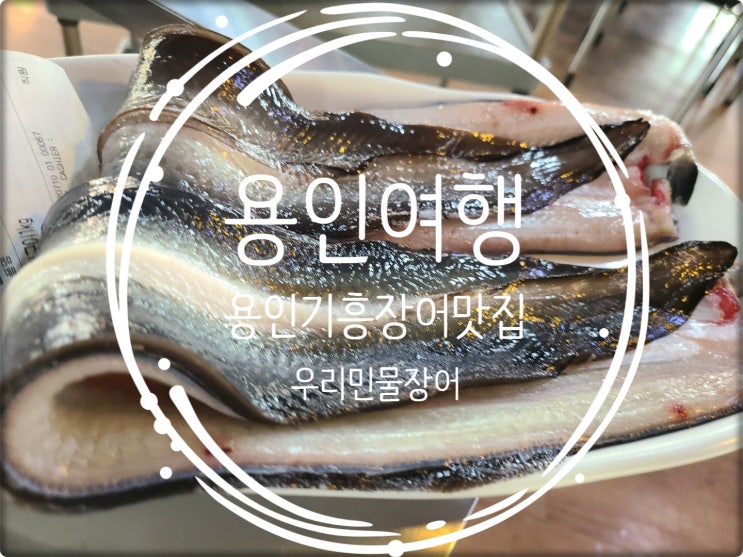  용인여행/ 용인공세동맛집 용인기흥장어맛집 우리민물장어