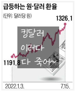  킹달러, 갓달러 좋은 줄만 알았는데 어떤 문제가 있을까?(feat. 달러가치 대상승 괜츈?)