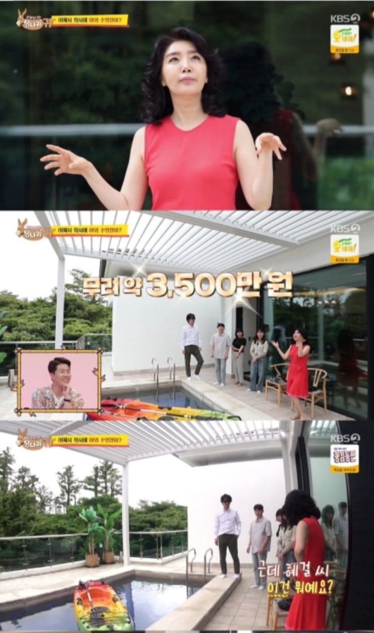 기생충' 집이잖아"…'여에스더' <b>홍혜걸</b> 럭셔리 <b>제주도 저택</b>에... 