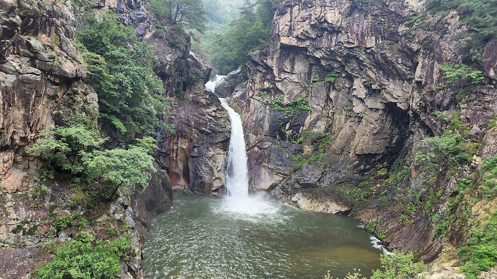 소박한밥상 사진 4