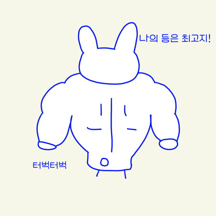  폴라토끼의 홈트레이닝 (등운동, 풀업밴드 편)