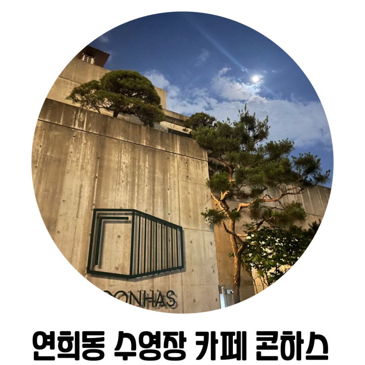 [서울 연희동 카페] '연희동 콘하스' 주택 개조 수영장 카페