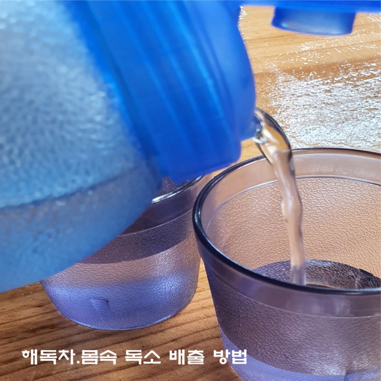  독소 배출. 해 독차. 몸속 노폐물을 깨끗하게 청소하자.