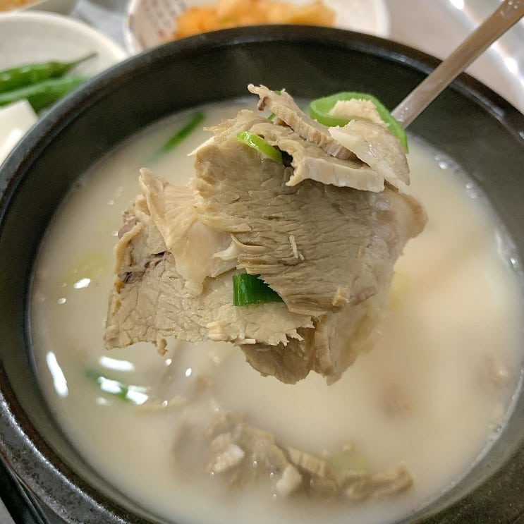  꼭꼭 숨겨놨던 옥포 거제 맛집 추천 소문난부자돼지국밥