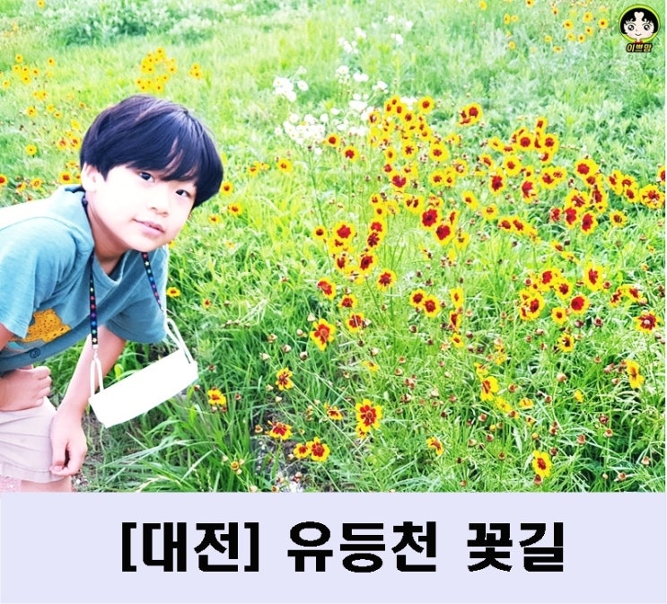 대전 아이와 가볼만한 곳 :  유등천 꽃길 나들이 기분까지 좋아지는 곳