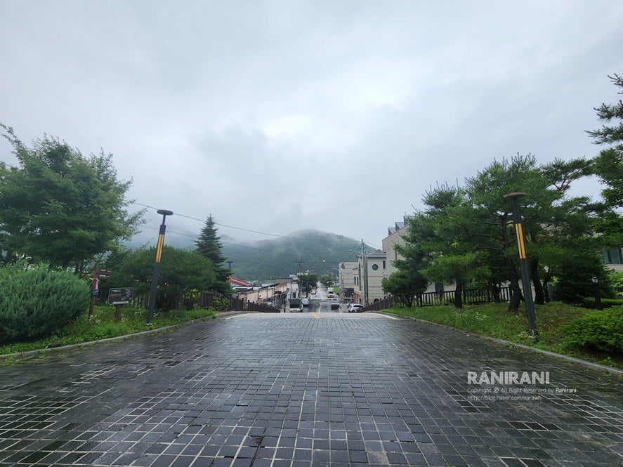 라선옥 사진 1