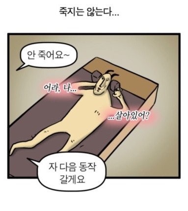 팀트레이닝바로잠실 이미지