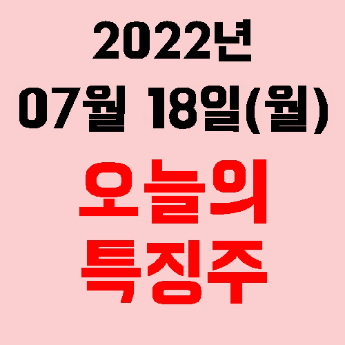  오늘의 시장 특징주 2022년 07월 18일(월)