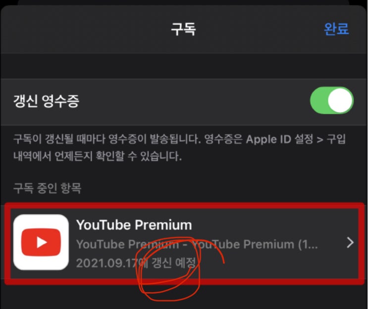  [Q&A] 아이폰 유튜브 프리미엄 구독 취소 하는 방법 (자동결제 중단)