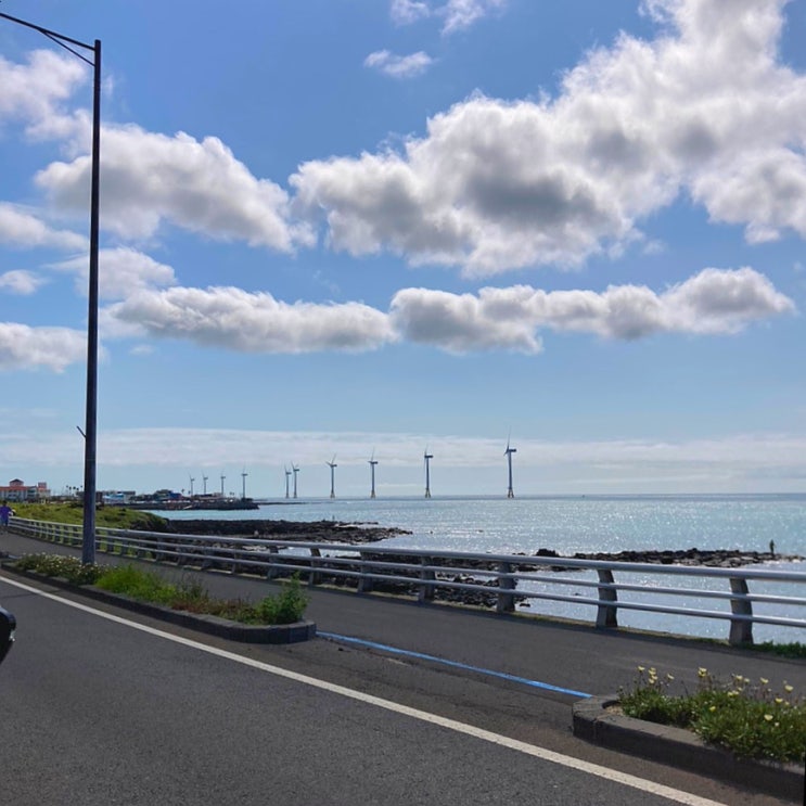 엄마랑 2박3일 제주도 서쪽 여행 엄마랑 2박3일 제주도 서쪽 여행
