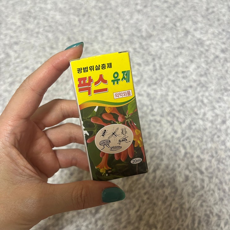 솜깍지벌레 생긴 녹보수(해피트리) 퇴치 ! 녹보수 살리기 T.T 솜깍지벌레 생긴 녹보수(해피트리) 퇴치 ! 녹보수 살리기 T.T