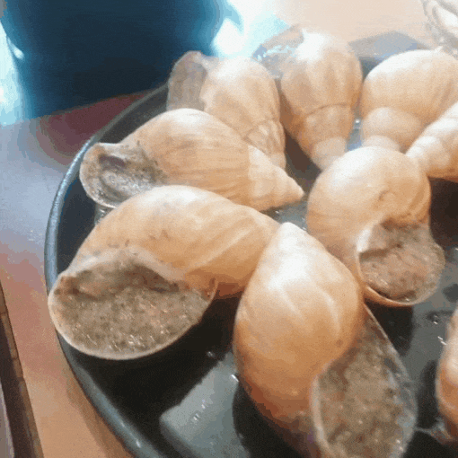  [안성] 달팽이하우스 브런치 맛집 특별 해요!