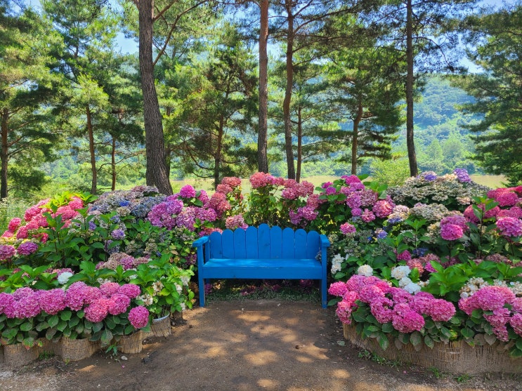  [경제 금융 용어 700선](281-290)사회보장제도,사회보험,산업연관표,삼불원칙,상계관세,상대적빈곤율,상시감시제도,상장지수펀드,ETF,상품공동기금,상품수지