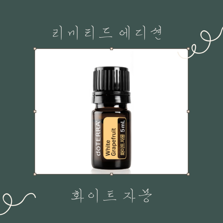  도테라 엘로우만다린 & 화이트자몽 리미티드 에디션 한정판 오일2종 특별판매