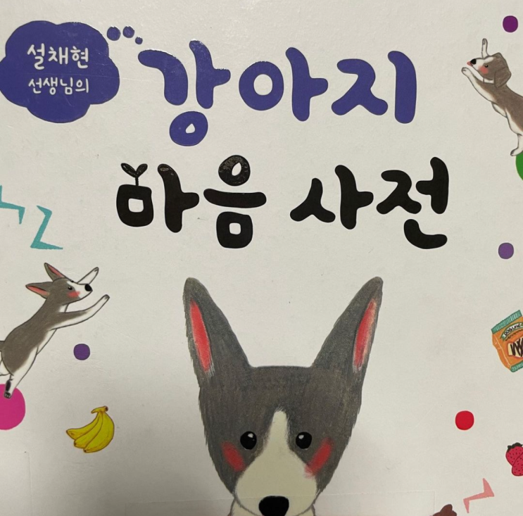 강아지책_설채현의 강아지마음사전(feat.퍼피에게 가장 중요한 3가지)