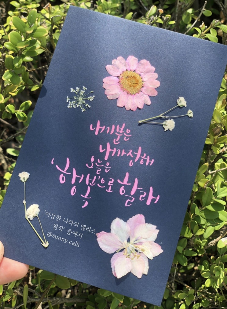  [캘리그라피] 내 기분은 내가 정해. 오늘은 행복으로!