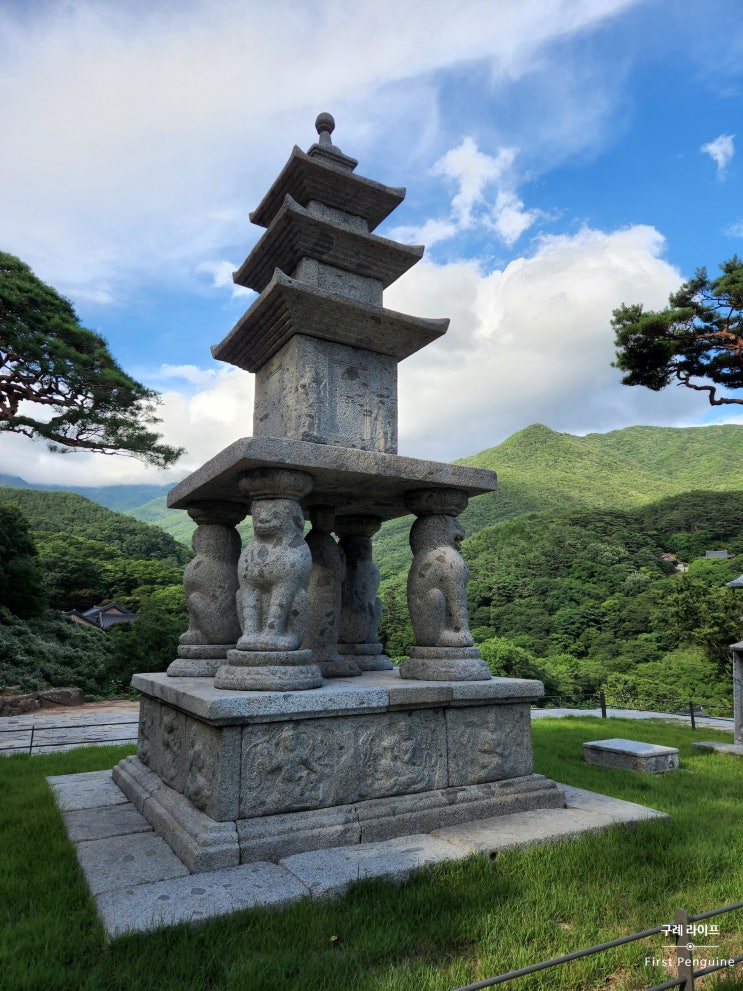  [구례 가볼 만한 곳] 지리산 천년고찰, 화엄사 + 홍매화