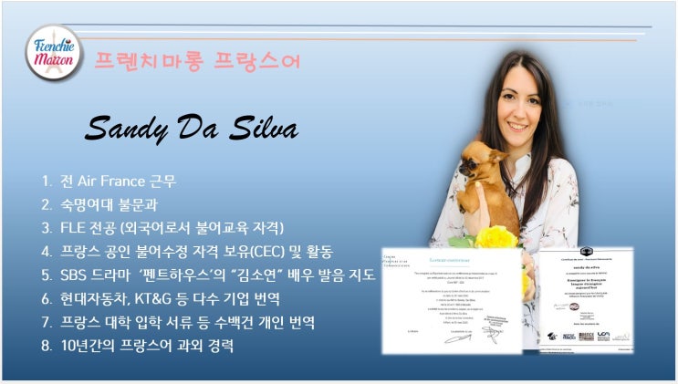  원어민 프랑스어 첨삭 / 감수