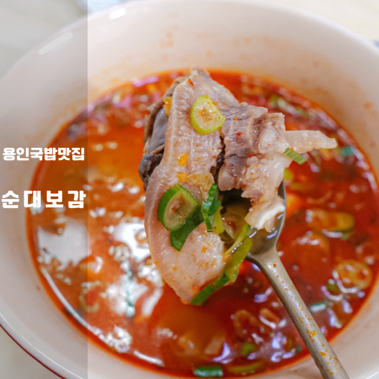  용인 수지 순대국 칼로리 높지만 놓칠 수 없어 ft. 순대보감