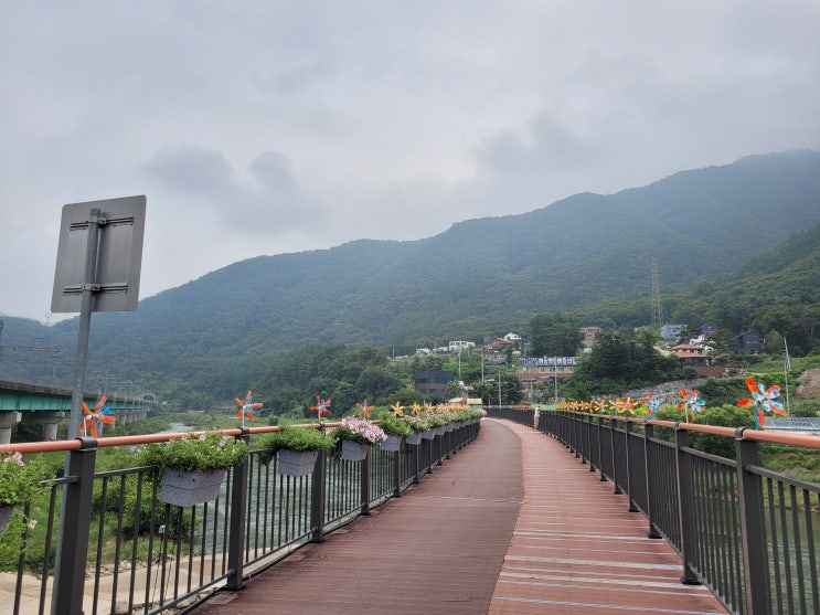 `22. 7. 17. 70km 북한강 자전거길 당일치기(밝은광장~신매대교)