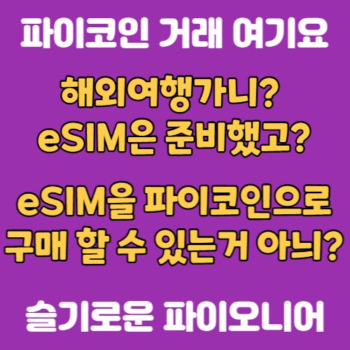  파이코인으로 해외여행 준비해볼까? eSIM을 파이코인으로 구매하는방법