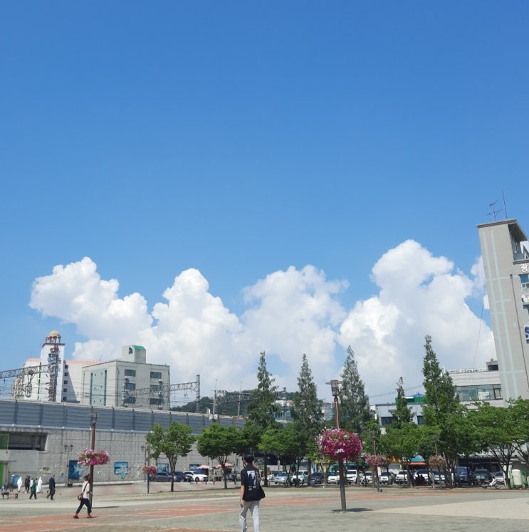  7월 두번째 주간일기 : 영화 원더, 쥬라기월드, 부평 PC방