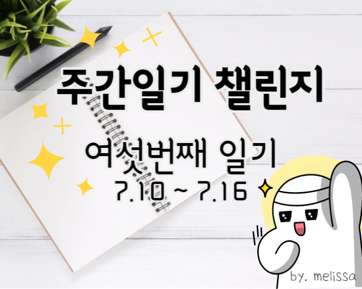  6주차 주간일기!