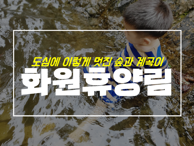  화원자연휴양림 대구 계곡 물놀이 포인트와 주차 정보