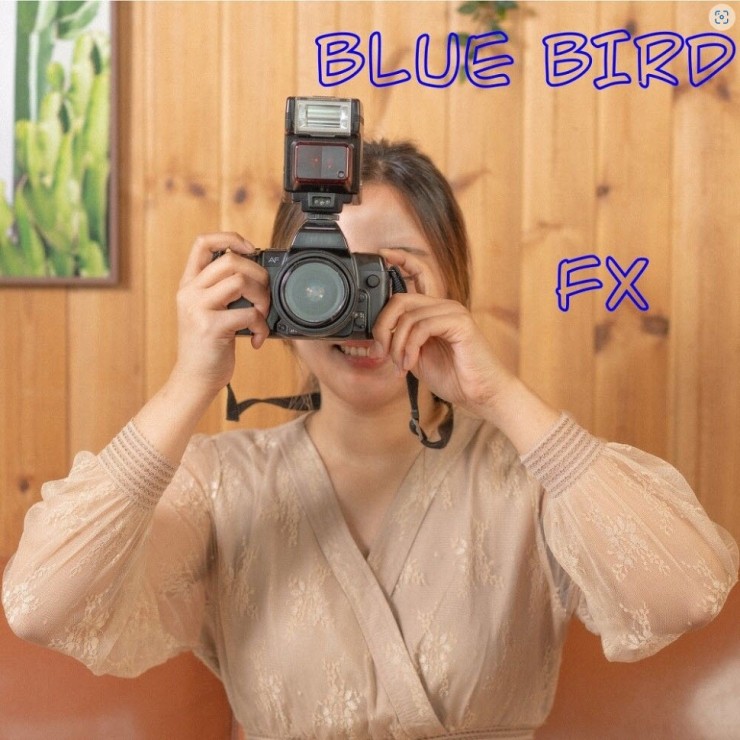 함수진(FX) - Blue Bird [노래가사, 듣기, MV]